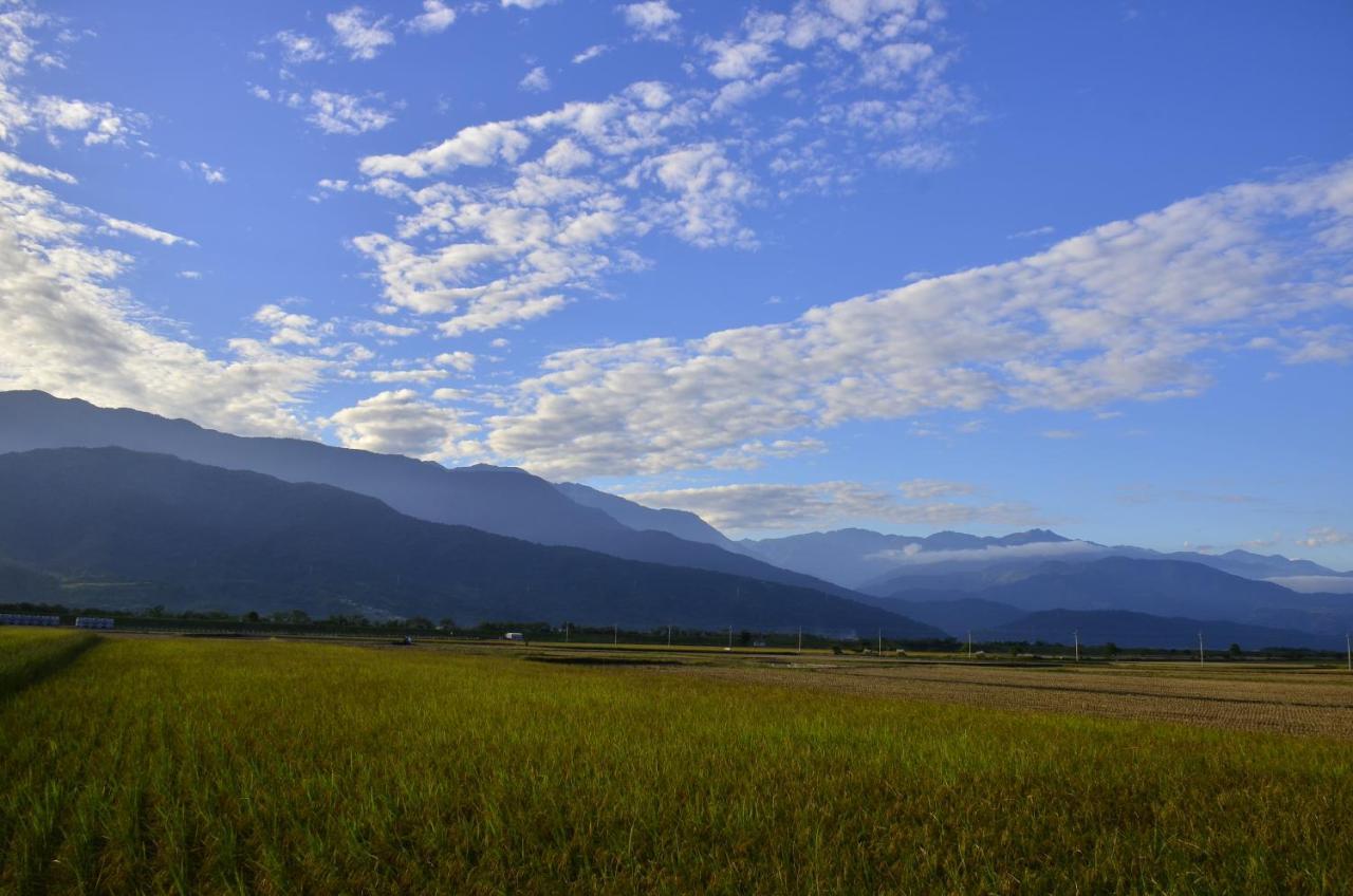 玉里鎮八畝田 Bamutian Farmland 8 Muアパートメント エクステリア 写真