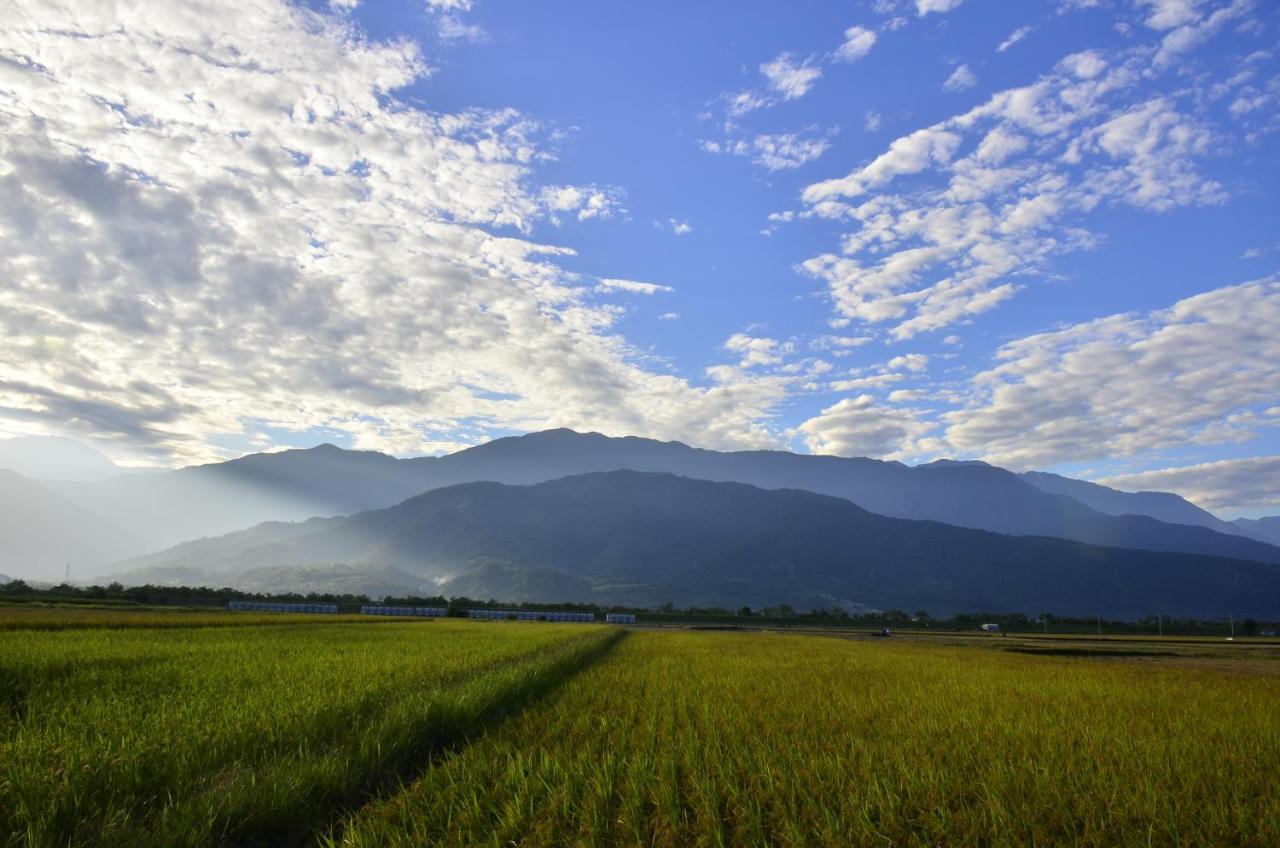 玉里鎮八畝田 Bamutian Farmland 8 Muアパートメント エクステリア 写真